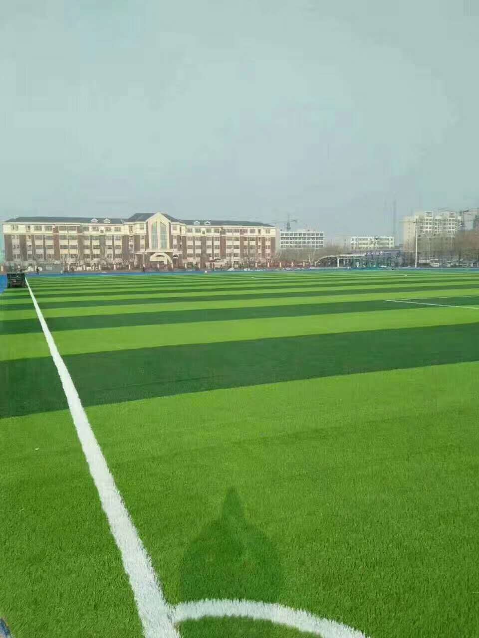 湘潭市仿真草坪仿真草坪 - 价格